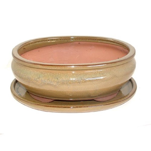 24.5cm Olive Coloured Bonsai Pot and Tray Set