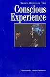 Conscious Experience