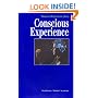 Conscious Experience