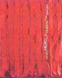 Adolfo Nigro En El Umbral de La Imagen: Objetos y Collages (Spanish Edition)