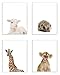 Stupell Home DÃ©cor Baby Animal Studio Portrait Lamb Hedgehog Giraffe Lion 4pc Wall Plaque Art Set, 10 x 0.5 x 15, Proudly Made in USA