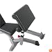 BodyCraft F610 Arm Curl Attachment for FID bench