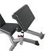 BodyCraft F610 Arm Curl Attachment for FID bench