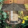 6 Inch Trumpet VineTube Feeder, Verdigris