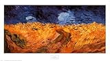 IMAGE OF Wheatfield with Crows, c.1890 HIGH QUALITY MUSEUM WRAP CANVAS Print Vincent Van Gogh 37x21