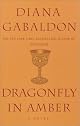 Dragonfly in Amber