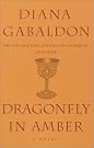 Dragonfly in Amber