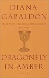 Dragonfly in Amber