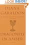 Dragonfly in Amber