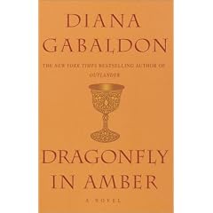 Dragonfly in Amber