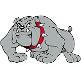 Bulldog Temporary Tattoos