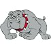 Bulldog Temporary Tattoos