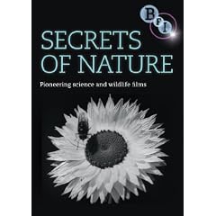 Secrets Of Nature [DVD] [1922]