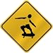 ONLY  SKATEBOARD  CROSSING SIGN SPORTS