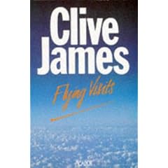 Flying Visits (Picador Books)