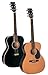 Johnson 000 Acoustic Guitar