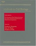 Development of Sea Urchins, Ascidians, and Other Invertebrate Deuterostomes: Experimental Approaches, Volume 74 Development of Sea Urchins, Ascidians, and Other Invertebrate Deuterostomes: Experimental Approaches, Volume 74