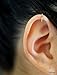 99) No Piercing Dainty Cartilage Hoop Ear Cuff