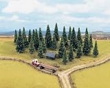 MODEL SPRUCES-LARGE PACKING, 55 PIECE