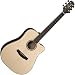 Takamine G Series EG363SC Dreadnought Acoustic Electric Guitar, Natural