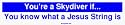 You're a Skydiver if... You know what a Jesus String is Large Bumper Sticker
