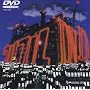ウルフルDVD