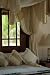 Cama Con Dosel - 24