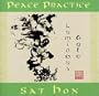 Peace Practice (Luminous Gate)