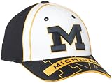 University of Michigan Wild-N-Out Team Color One-Fit Hat