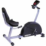 Hudson RE2200 Recumbent Bike