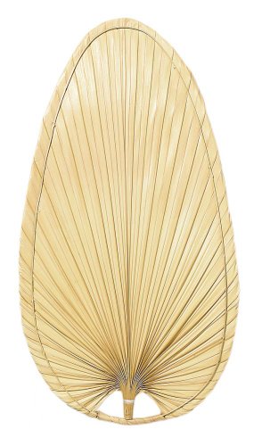 Fanimation ISP4GR Five Green Palm Blades