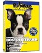 Boston Terrier DVD - Everything You Should Know About Your Dog