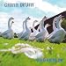 Goose Fair [VINYL]