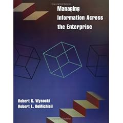 Managing Information Across the Enterprise