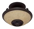 Hunter 21825 Illumni Heat Light, New Bronze