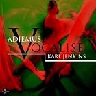 Vocalise by Adiemus, Karl Jenkins, Mary Carewe, Belinda Sykes, and Martin Taylor