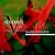 Vocalise