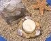 Beach Theme Candle Holder