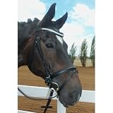 Premium Leather Horse Dressage Bridle with Leather Rein