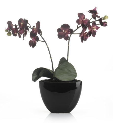 Artificial Orchid Pot