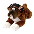 Harley Davidson Boxer 
