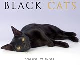 Black Cats 2009 Calendar