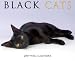 Black Cats 2009 Calendar