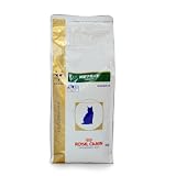 �L ���ʃT�|�[�g OBESITY 2Kg