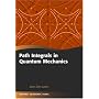 Path Integrals in Quantum Mechanics (Oxford Graduate Texts)