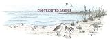 Sandpipers - Drawing by Cindy Farmer