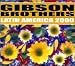 Latin America 2000