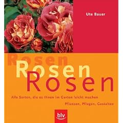 Rosen, Rosen, Rosen
