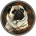 CoasterStone Pug Coasters