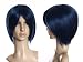 Cosplayland C147 - 30cm short Straight Cosplay Party Wig dark Blue (Black & Blue)